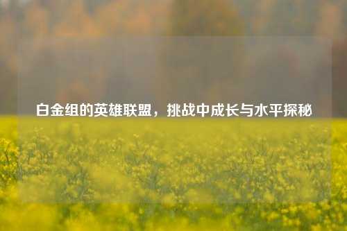 白金组的英雄联盟，挑战中成长与水平探秘