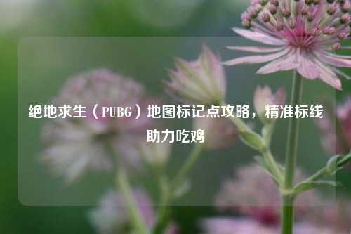 绝地求生（PUBG）地图标记点攻略，精准标线助力吃鸡