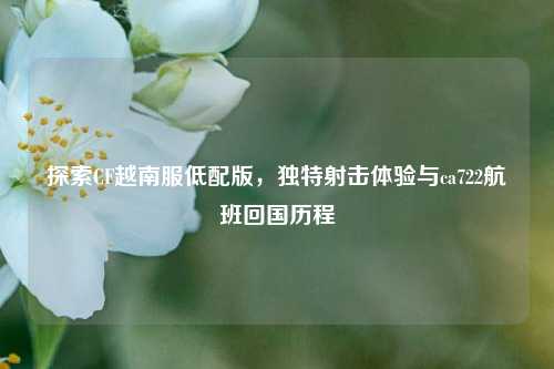 探索CF越南服低配版，独特射击体验与ca722航班回国历程