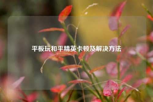 平板玩和平精英卡顿及解决方法