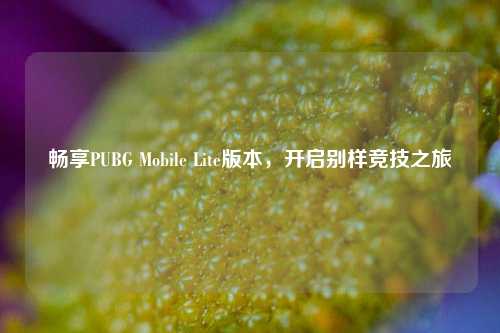 畅享PUBG Mobile Lite版本，开启别样竞技之旅