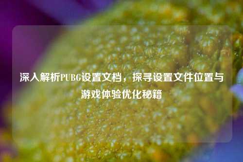深入解析PUBG设置文档，探寻设置文件位置与游戏体验优化秘籍