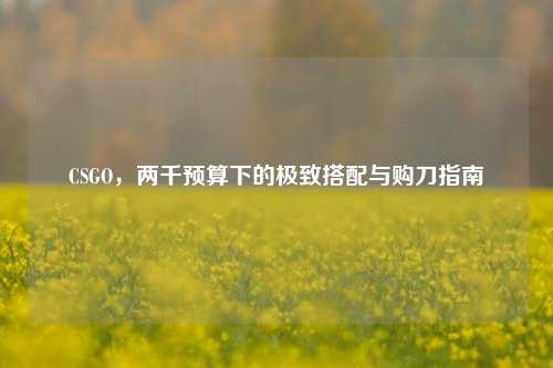 CSGO，两千预算下的极致搭配与购刀指南