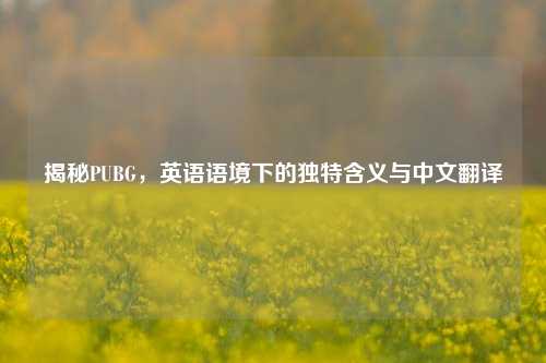 揭秘PUBG，英语语境下的独特含义与中文翻译