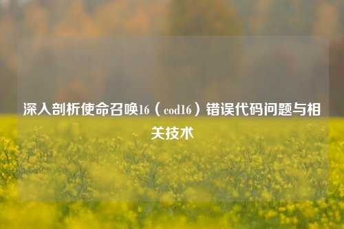 深入剖析使命召唤16（cod16）错误代码问题与相关技术
