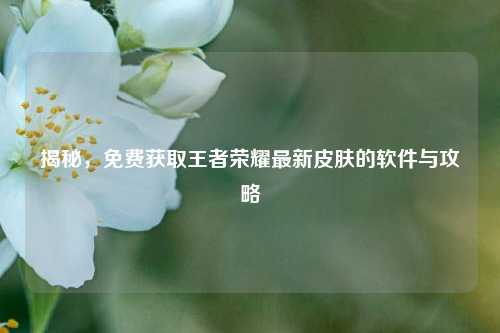 揭秘，免费获取王者荣耀最新皮肤的软件与攻略