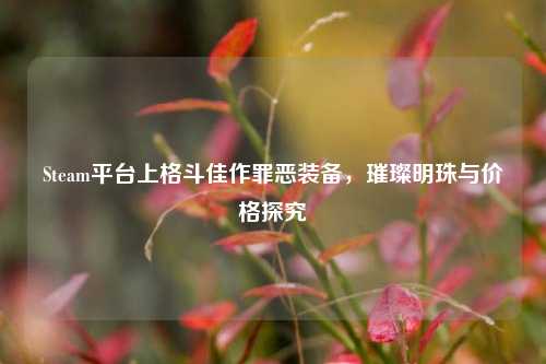 Steam平台上格斗佳作罪恶装备,璀璨明珠与价格探究