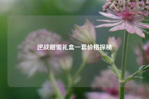 逆战甜蜜礼盒一套价格探秘