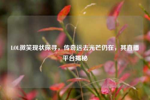 LOL微笑现状探寻，传奇远去光芒仍在，其直播平台揭秘