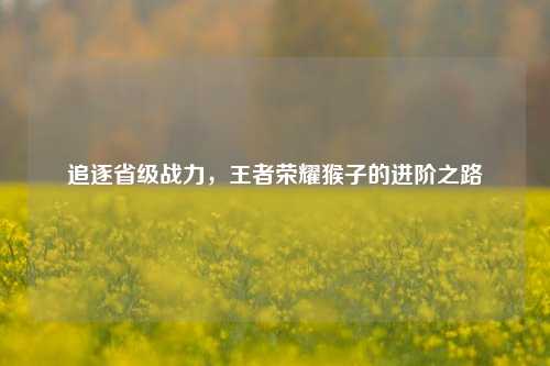 追逐省级战力，王者荣耀猴子的进阶之路