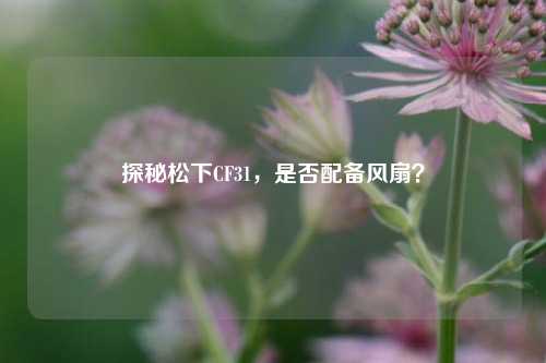 探秘松下CF31，是否配备风扇？