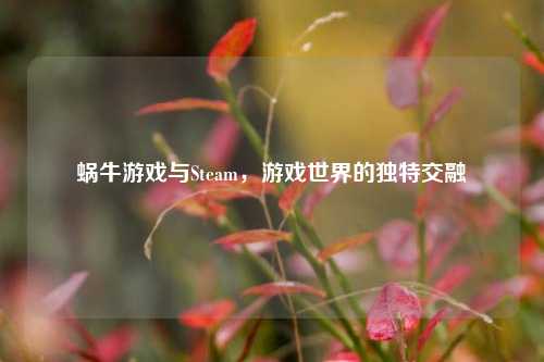 蜗牛游戏与Steam，游戏世界的独特交融