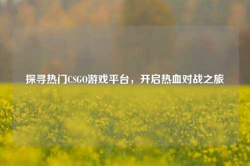 探寻热门CSGO游戏平台,开启热血对战之旅