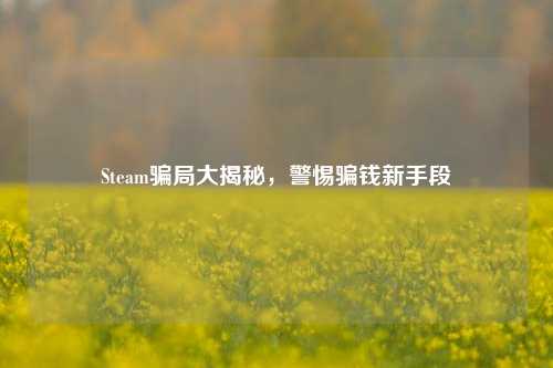 Steam骗局大揭秘,警惕骗钱新手段