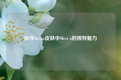 探寻Steam皮肤中Mert o的独特魅力