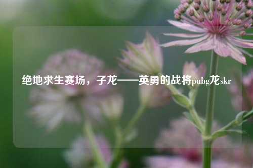 绝地求生赛场，子龙——英勇的战将pubg龙skr