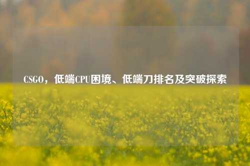 CSGO，低端CPU困境、低端刀排名及突破探索