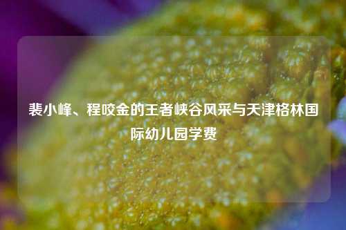 裴小峰、程咬金的王者峡谷风采与天津格林国际幼儿园学费