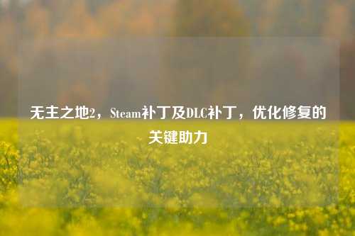 无主之地2，Steam补丁及DLC补丁，优化修复的关键助力