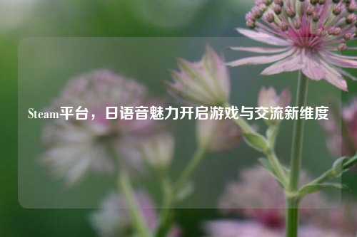 Steam平台，日语音魅力开启游戏与交流新维度