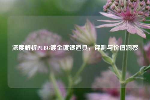 深度解析PUBG镀金镀银道具，评测与价值洞察