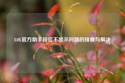 LOL官方助手段位不显示问题的排查与解决