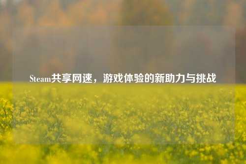 Steam共享网速，游戏体验的新助力与挑战