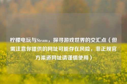 柠檬电玩与Steam，探寻游戏世界的交汇点（但需注意你提供的网址可能存在风险，非正规官方渠道网址请谨慎使用）