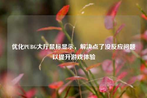 优化PUBG大厅鼠标显示，解决点了没反应问题以提升游戏体验