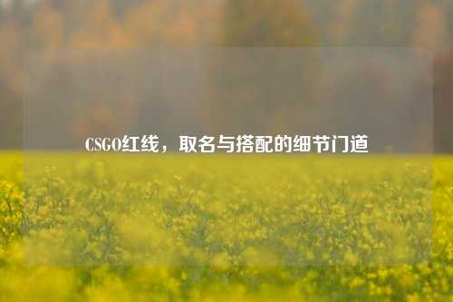 CSGO红线，取名与搭配的细节门道