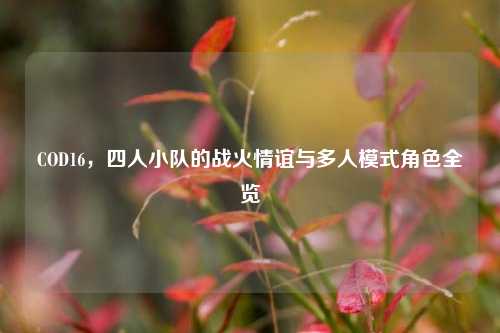 COD16，四人小队的战火情谊与多人模式角色全览