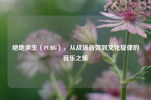 绝地求生（PUBG），从战场音效到文化旋律的音乐之旅