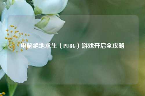 电脑绝地求生（PUBG）游戏开启全攻略