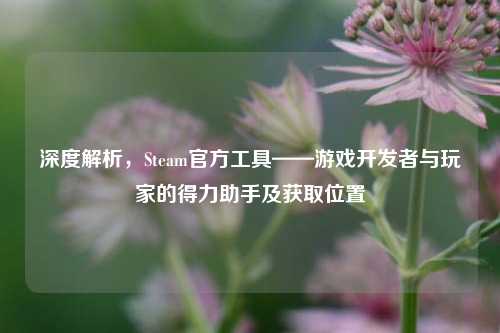深度解析，Steam官方工具——游戏开发者与玩家的得力助手及获取位置