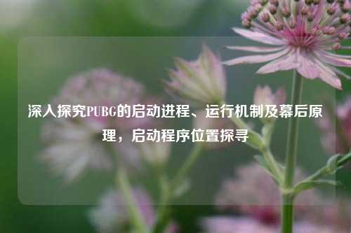 深入探究PUBG的启动进程、运行机制及幕后原理，启动程序位置探寻