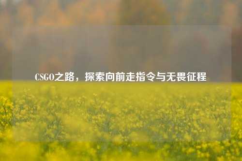 CSGO之路，探索向前走指令与无畏征程