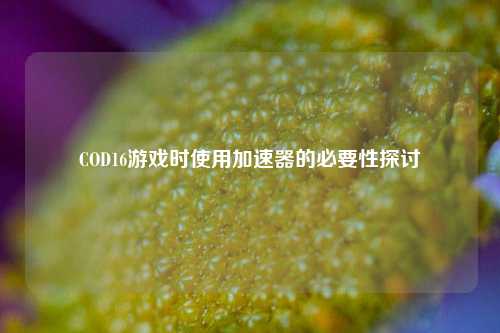 COD16游戏时使用加速器的必要性探讨