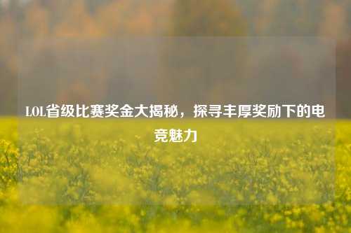 LOL省级比赛奖金大揭秘，探寻丰厚奖励下的电竞魅力