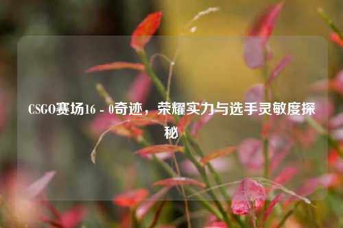 CSGO赛场16 - 0奇迹，荣耀实力与选手灵敏度探秘