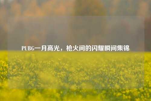 PUBG一月高光,枪火间的闪耀瞬间集锦