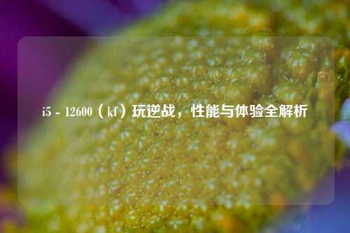 i5 - 12600（kf）玩逆战，性能与体验全解析