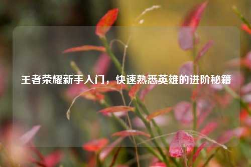 王者荣耀新手入门，快速熟悉英雄的进阶秘籍