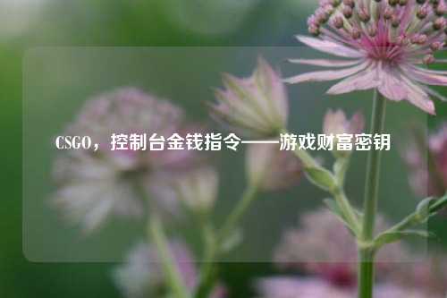 CSGO，控制台金钱指令——游戏财富密钥