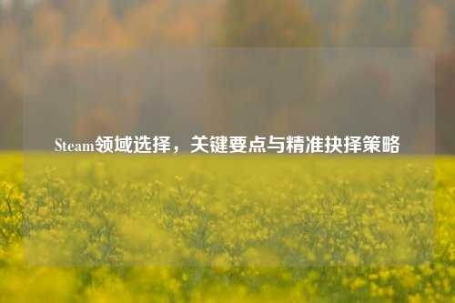 Steam领域选择,关键要点与精准抉择策略