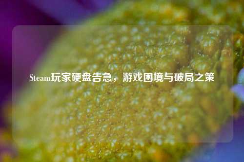 Steam玩家硬盘告急，游戏困境与破局之策