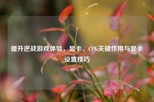 提升逆战游戏体验，显卡、CPU关键作用与显卡设置技巧