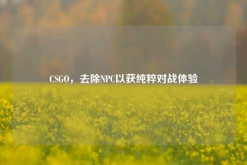 CSGO，去除NPC以获纯粹对战体验