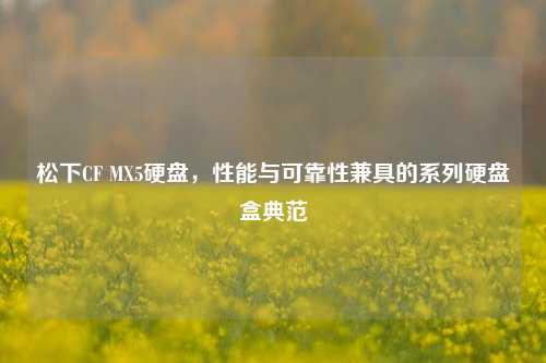 松下CF MX5硬盘，性能与可靠性兼具的系列硬盘盒典范