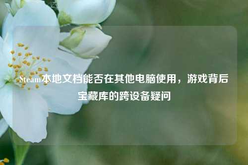 Steam本地文档能否在其他电脑使用，游戏背后宝藏库的跨设备疑问