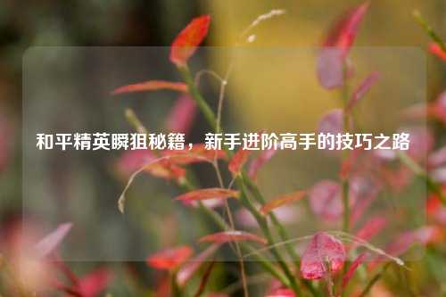 和平精英瞬狙秘籍，新手进阶高手的技巧之路